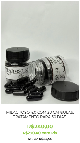 Captura de tela 2026-03-25 020648